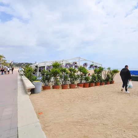 Apartment Verano Go2lloret